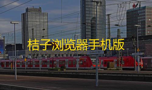 无畏契约卡盟辅助平台桔子浏览器手机版