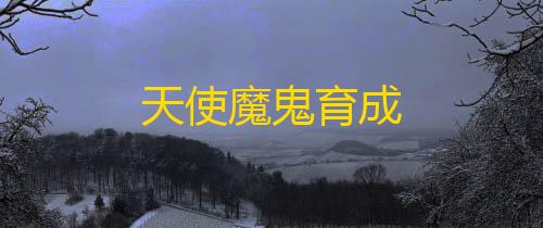 和平精英直装天使魔鬼育成